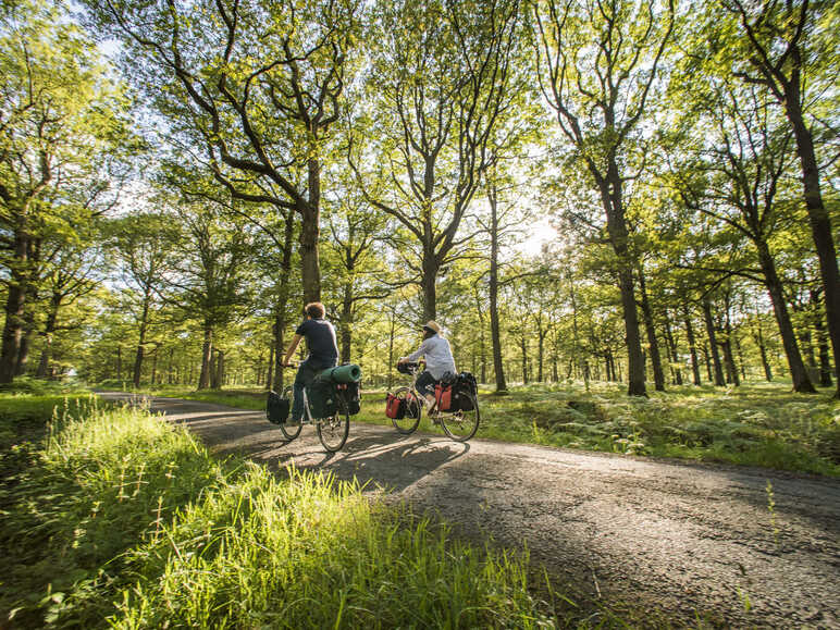 Velo electrique nature online et decouverte